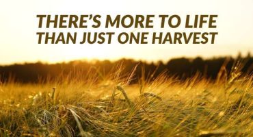 God Jots™ - Understanding The Harvests In Our Lives